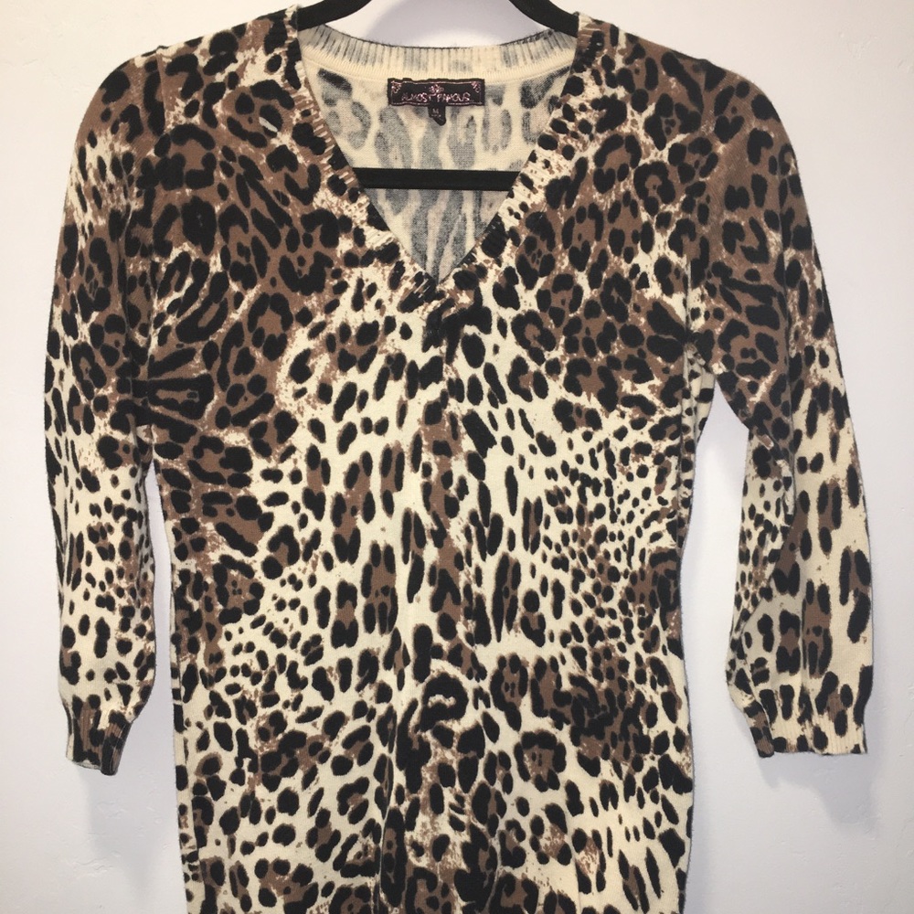 Almost Famous Cheetah V-Neck sweater